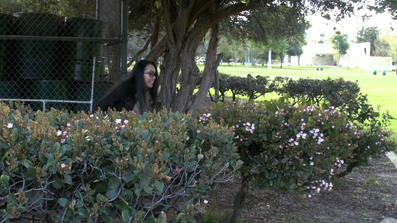 Don't Ask Nancy - "Easy Weight Loss Solutions" (S2, Ep. 4)