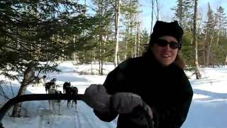 Learn to Dogsled www.NewEnglandDogsledding.com.AVI