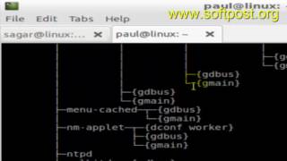 Difference between local shell variable and environment variable in Mac OSX Terminal