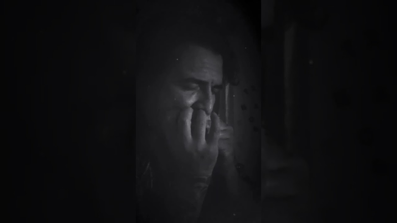 Big Walter Horton :It's Not Easy,first time