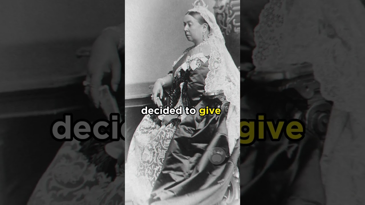 First ever Tibetan Mastiff in England 