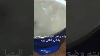 طريق بصل  المصانع المخلل