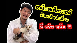 ยาฉีดสเตียรอยด์ รักษาข้อเข่าเสื่อม @ข้อดีมีสุข