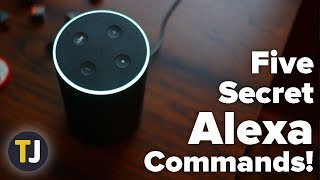 The Top Five Alexa Commands You Might Not Know!