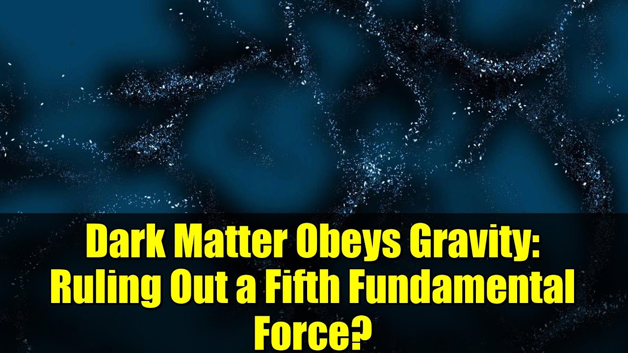 Dark Matter Obeys Gravity: Ruling Out a Fifth Fundamental Force?