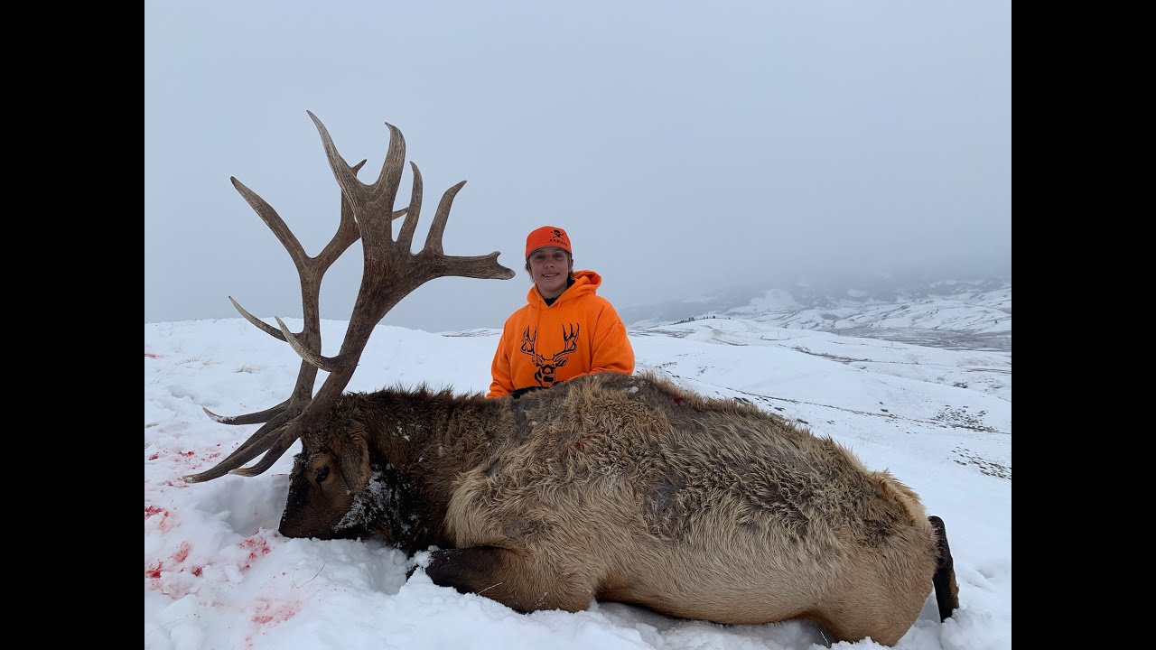 Elk Hunting National Elk Refuge Youth Hunt.