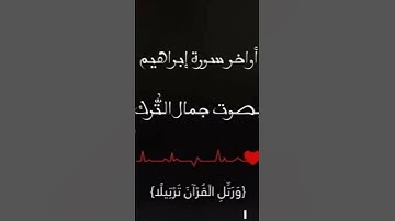 اواخر سورة ابراهيم ١ بصوت:جمال التُّرك