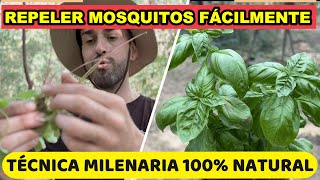 10 Plantas Para REPELER Mosquitos En 1 MINUTO!Método Natural Sin Químicos!