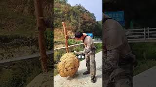 Abrió una colmena vacía y esto le cambió la vida 😱 #unexplained #discovery #shorts
