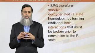 BIO202 Topic098