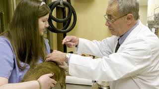 Dr  Charles London of Good Hope Animal Hospital screenshot 3