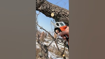 Multi-function cutting scissors #short M469