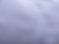 P1000855 P1000855