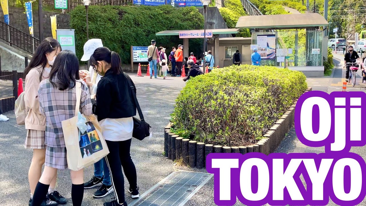[JAPAN/TOKYO]Oji station walking scenery[Cherry Blossoms]