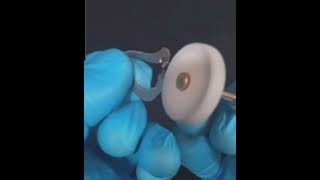 Rubber Dam Clamp Adjustment.