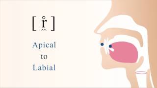 [ r̼̊ ] unvoiced apical labial trill