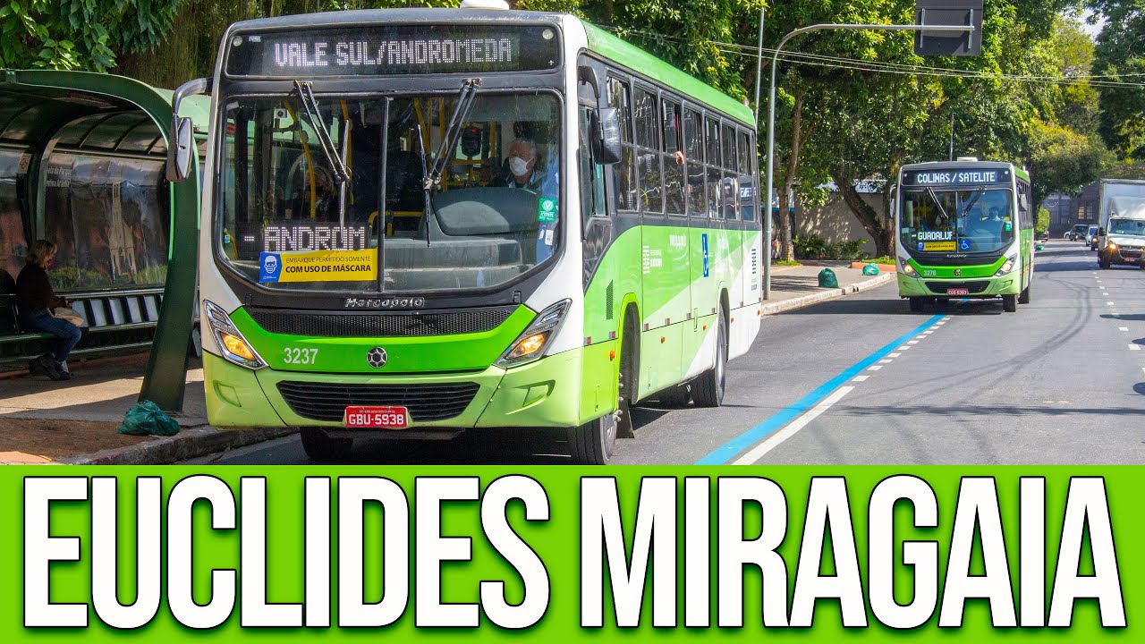Rua Euclides Miragaia (São José dos Campos/SP) - Movimentação de Ônibus #479