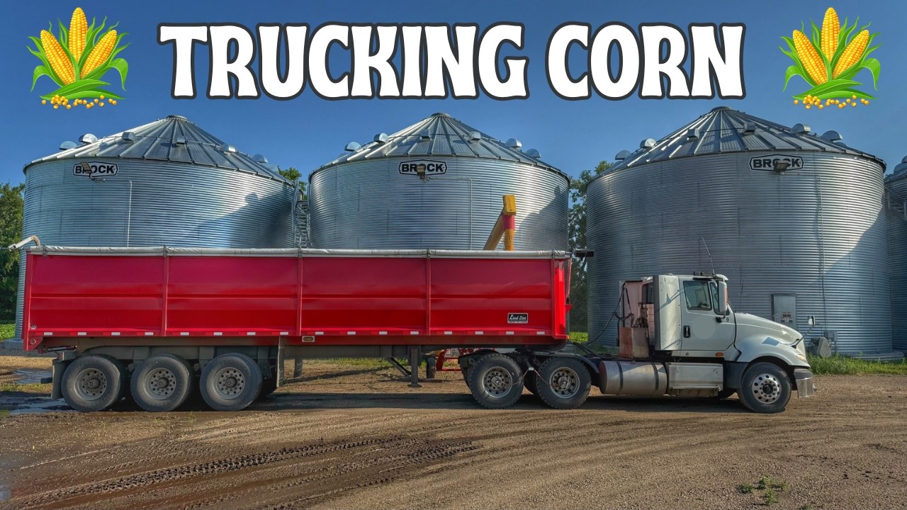 Farm Life: Corn, Corn, and More Corn