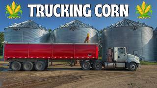 Farm Life: Corn, Corn, and More Corn
