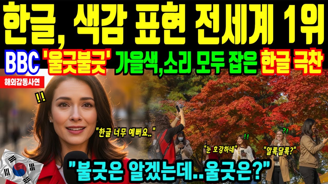 BBC 시청률 1위 한글, ‘울긋불긋’ 가을색과 소리까지 잡은 한글의 아름다움에 전세계 감탄 [해외감동사연]