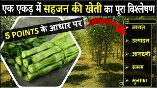 When and how to cultivate drumstick | DRUMSTICK FARMING PROFIT & MARKETING | MORINGA FARMING IN I... screenshot 4