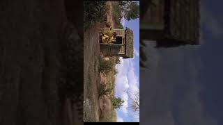 Little rascals funny scene what's app status 😘