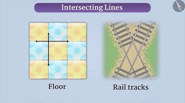 Intersecting and Parallel Lines | Part 1/3 | English | Class 6