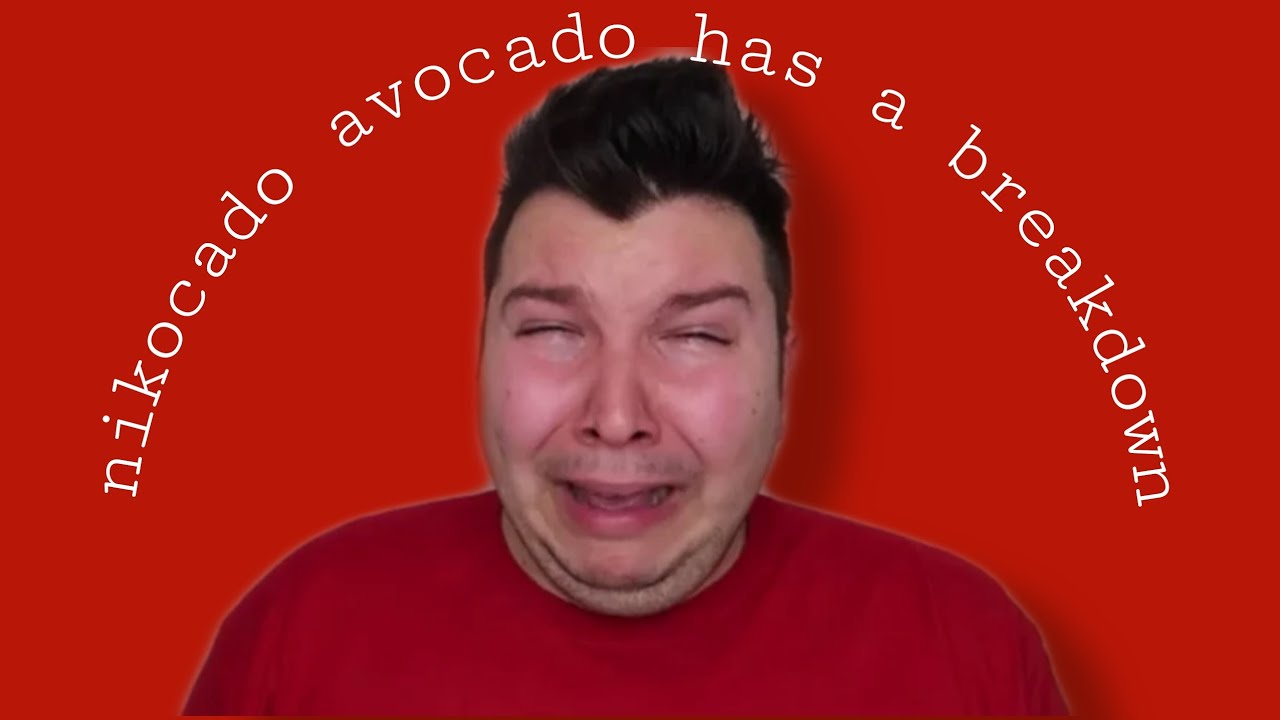 nikocado avocado has a breakdown