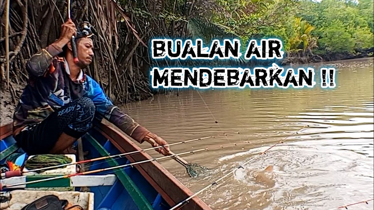 hampir menyerah saat piranti mancing udang dihajar sesuatu yang besar mancing udang galah terbaru