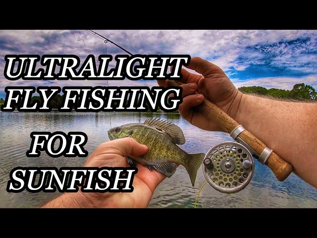 ULTRALIGHT FLY FISHING for sunfish 