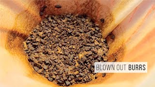When To Change Your Grinder Burrs | Boring Lo-Fi Work Update