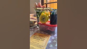 Mini vlog #explorepage #minivlog #trendingshorts #exploreshorts #adayinmylife #viralshorts