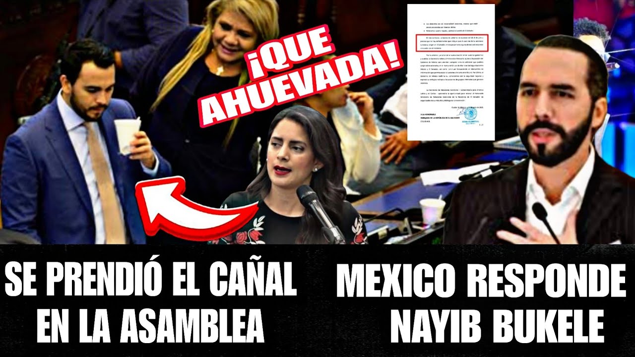 ULTIMA HORA, DESPEGUE ECONÓMICO BLOQUEADO, NAYIB REACCIONA RESPUESTA DE ...