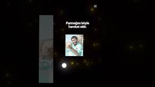 Parmağını Ritme Göre Hareket Ettir Şfet