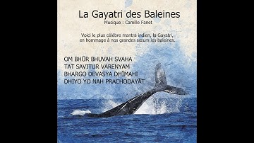 PRANAVA - Gayatri Mantra (Gayatri des Baleines)