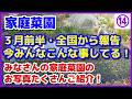【みなさんの写真】面白い!3月前半・全国(海外も含む)から届いた一般家庭の家庭菜園の今がわかる!みんなこんなことしてる!/vol.14