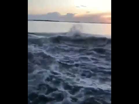 Sea monster caught on camera  😱