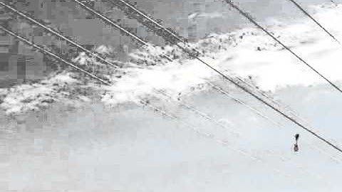 Firefly Bird Diverter on Power & Transmission lines