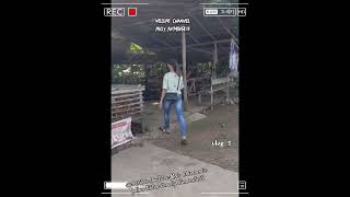 Download Lagu mengunjungi Ampera Selakau Twi mentibar sampai desa bentunai guy,s MP3