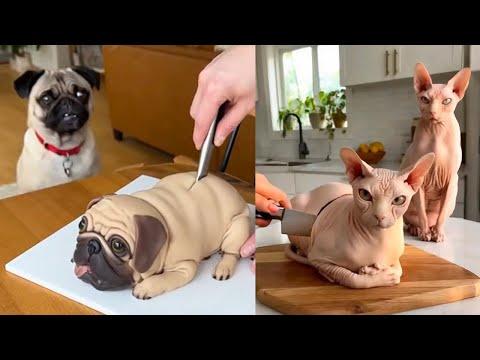 رد فعل الكلب والقط على تقطيع الكعكة رد فعل مضحك للكلب على الكعكة