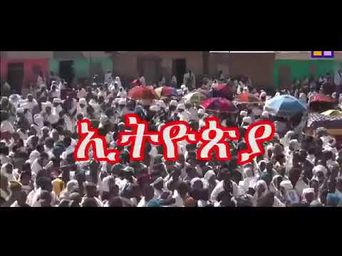 ETHIOPIA ORTODOKSI TAWAYIDO MEZMUR 