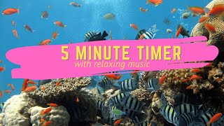 5 Minute Timer with Relaxing Music 2021 -  Aquarium screenshot 4