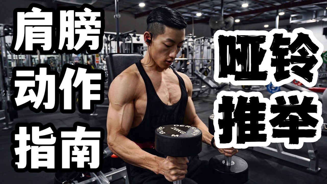 健身动作指南|饱满3D肩|哑铃推举(新手必看) - YouTube