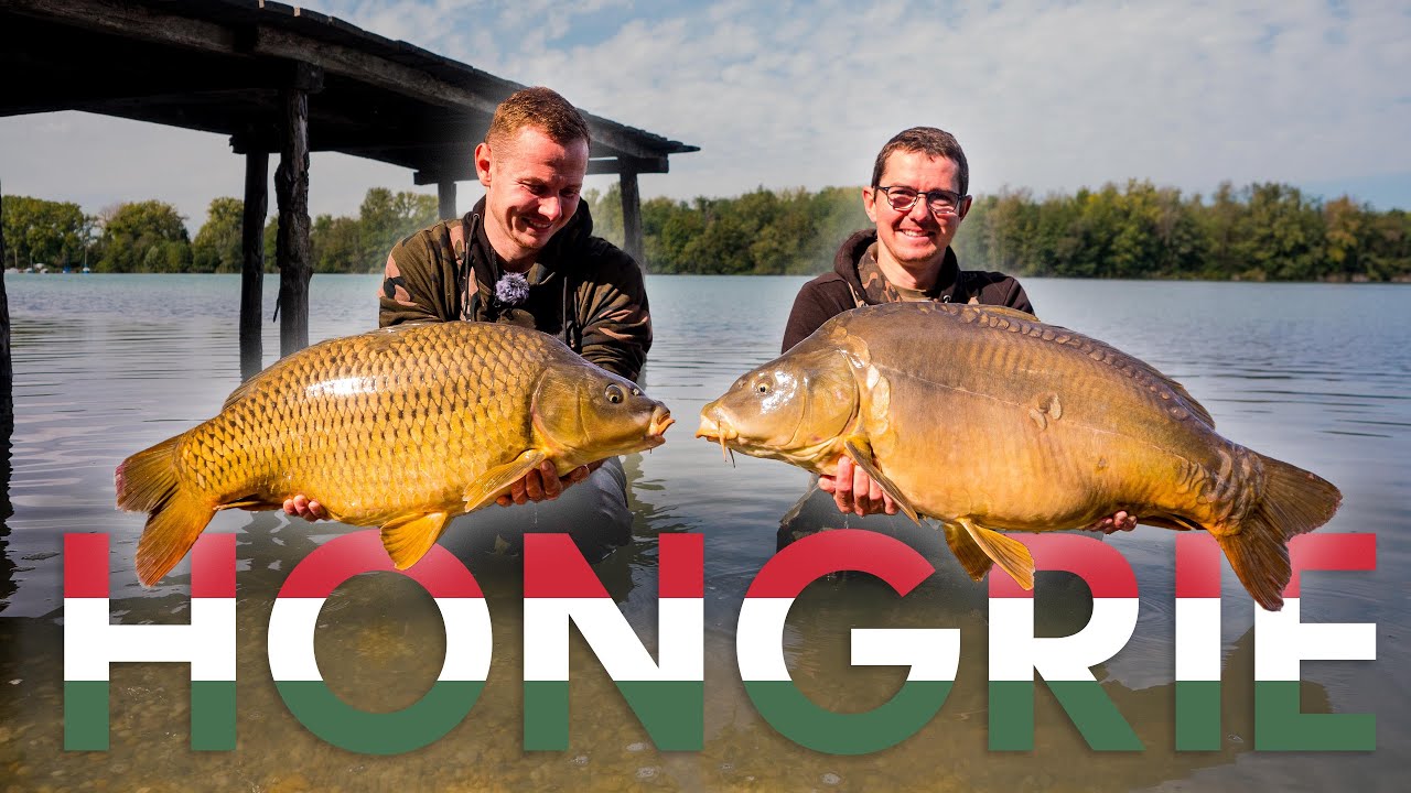 À la conquête des carpes hongroise - Pêche à la carpe avec les frères Postieaux