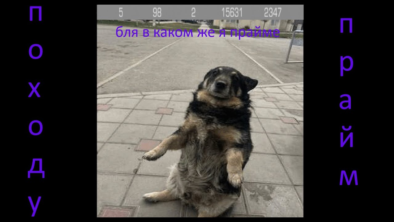 HIGHLIGHTS / CLANWARS 