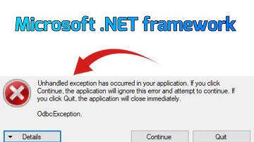 Microsoft .NET framework Unhandled exception has occurred in your application Fix
