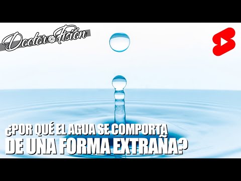 Video: ¿Se extrañará o se extrañará?