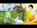 Kể Truyện Đêm Khuya - Luật Nhân Quả Thật Là Thâm Sâu Vi Diệu , Suốt Cổ Kim Không Lọt 1 Ai - RẤT LINH