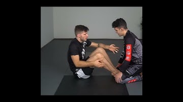 BUTTERFLY ENTRY to LEG LOCKS by Tum Energia