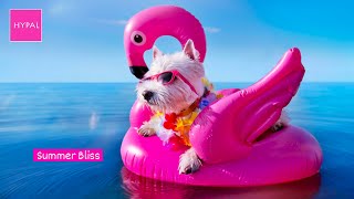 Summer Bliss | Happy Vibes Music | Royalty Free Music